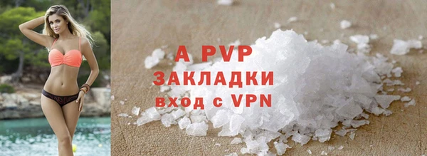 apvp Горняк