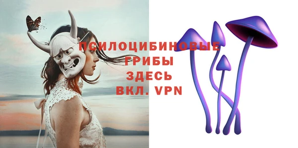 mdpv Горно-Алтайск
