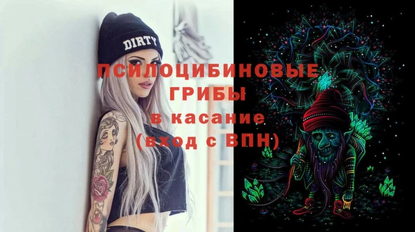 apvp Горняк