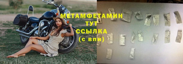 apvp Горняк