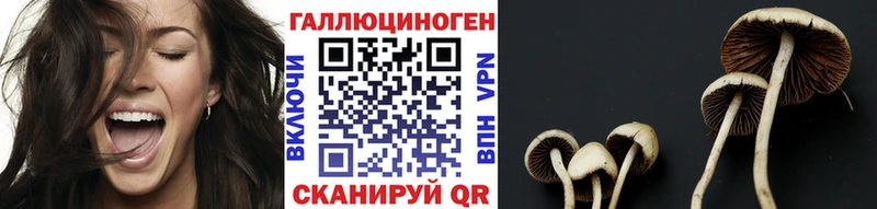 Галлюциногенные грибы Psilocybe  Купить  Камешково 